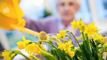 Green fingered Residents form gardening club at Stockon-on-Tees care home
